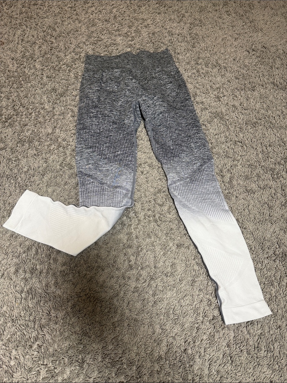 HALARA ombré leggings